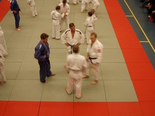 judo